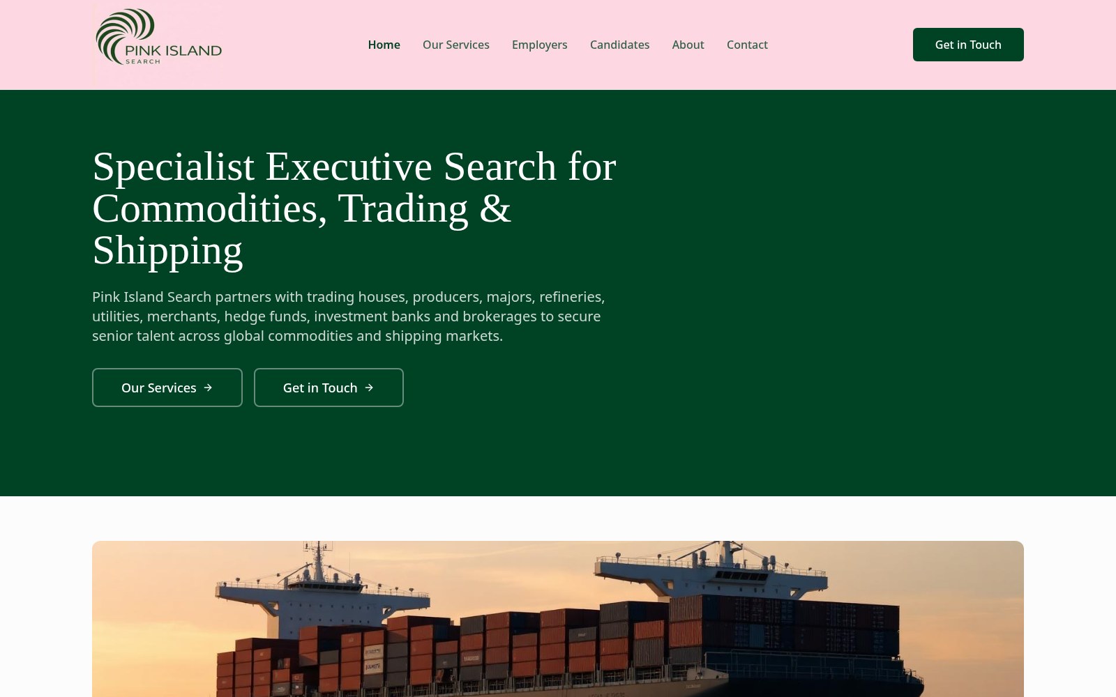 Screenshot of the live Pink Island Search website homepage showing its specialist executive search positioning